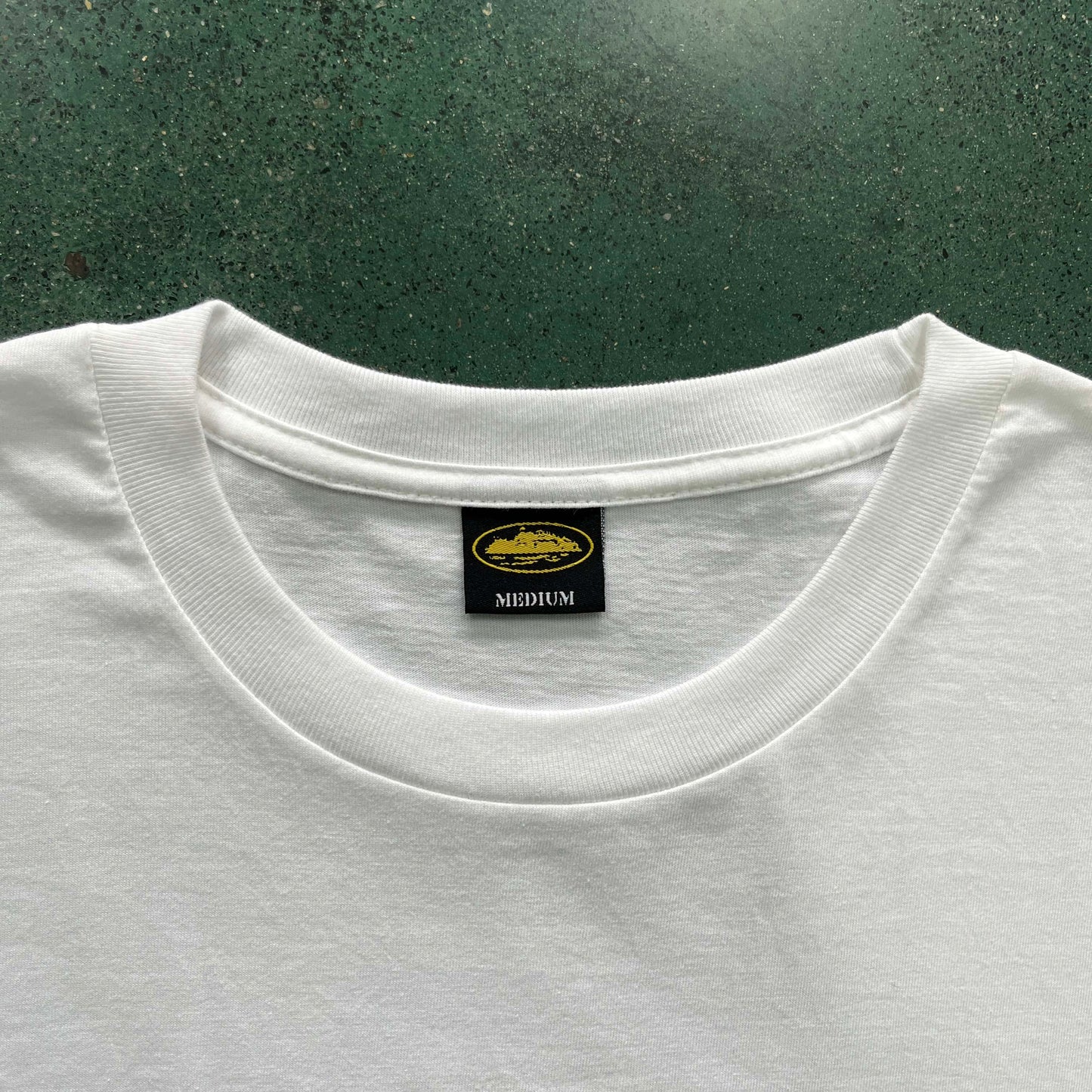GRADIENT CARNI TEE