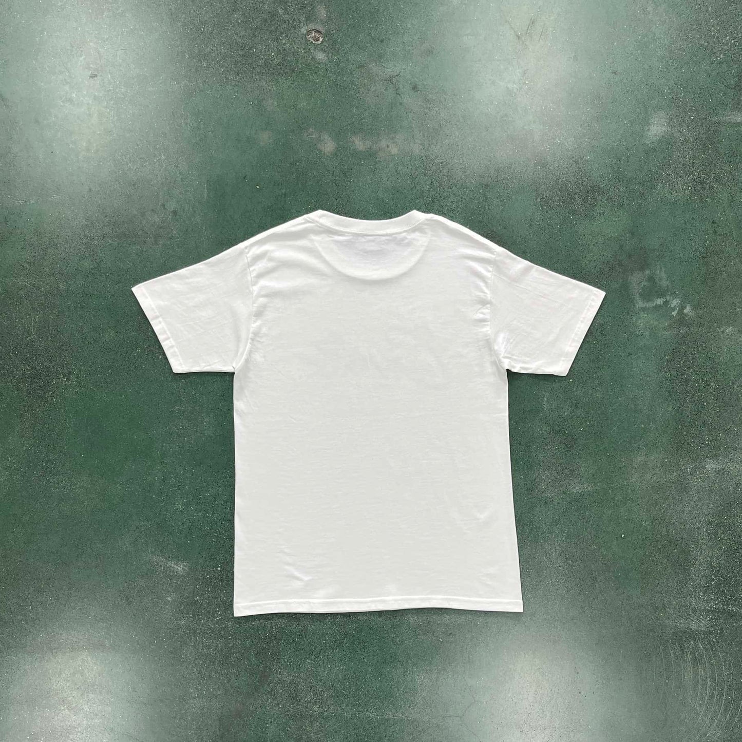 GRADIENT CARNI TEE