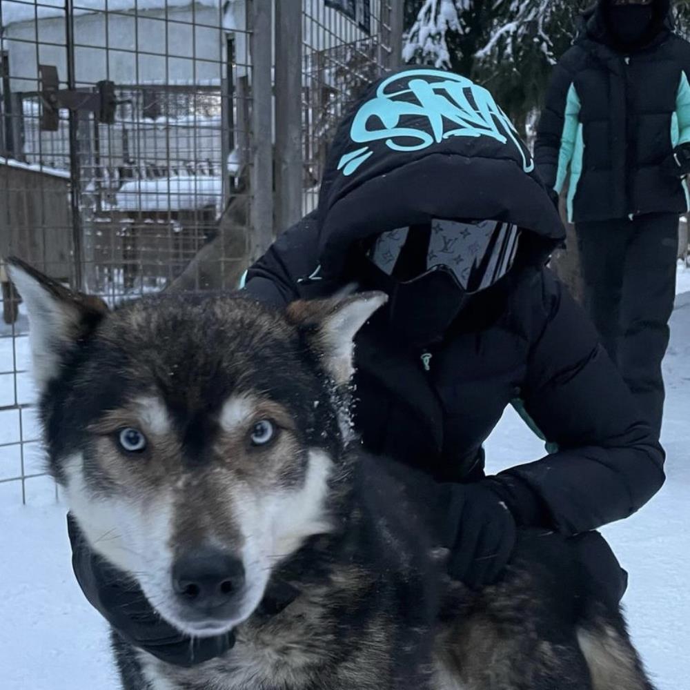 syna down jacket- Black and blue