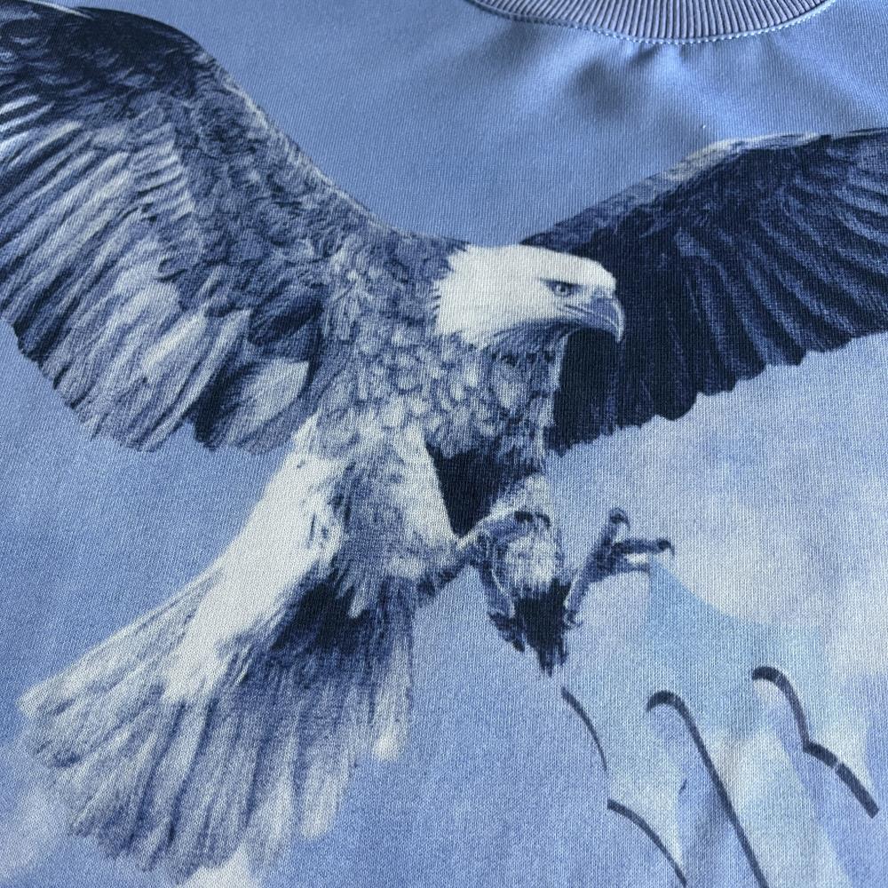 eagle crewneck-blue white